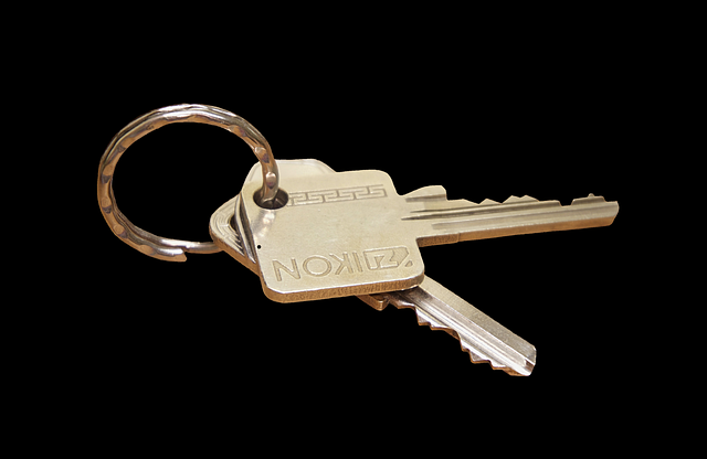 key, keychain, house keys, door key, beard key, metal, close up, blade, close to, castle, shut down, keys, key, key, key, house keys, house keys, house keys, house keys, door key, door key, door key, door key, door key, keys, keys