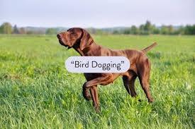 Be the best at bird dogging wholesale real estate deals.